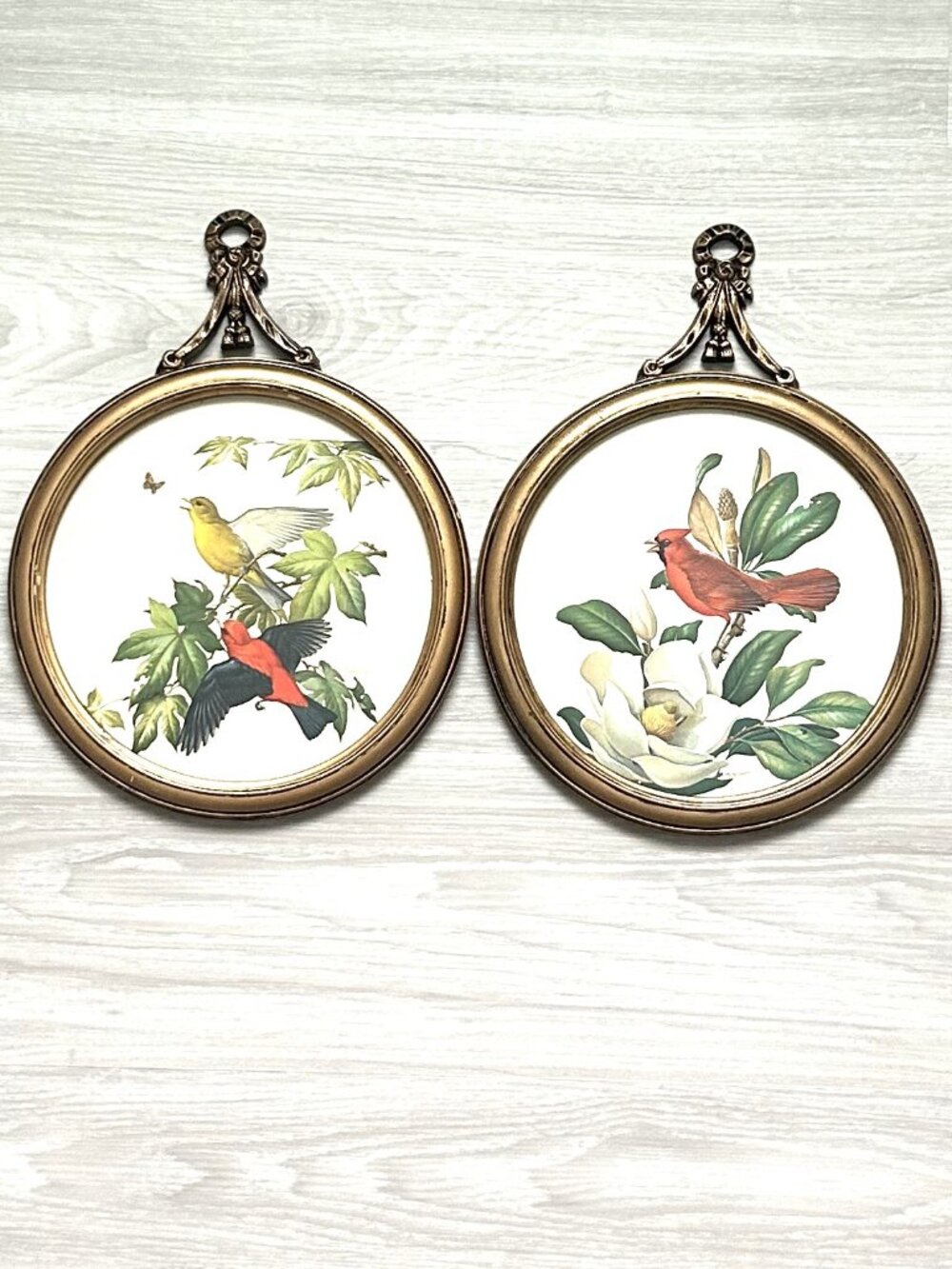Vintage Gold Oval Framed Bird Floral Prints Set of 2 Wall